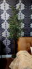 listing thumbnail image 17