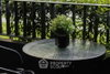 listing thumbnail image 35