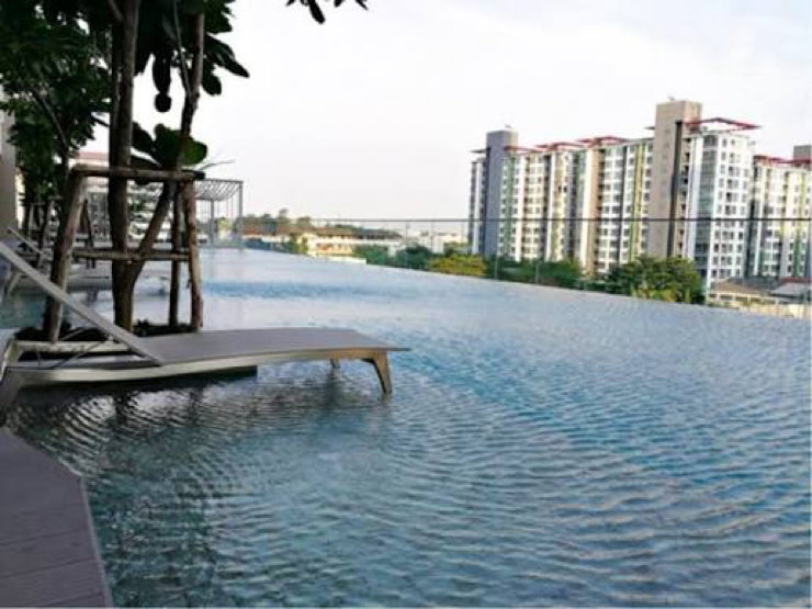 picture For rent Whizdom connect sukhumvit - 11/17