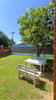 listing thumbnail image 14