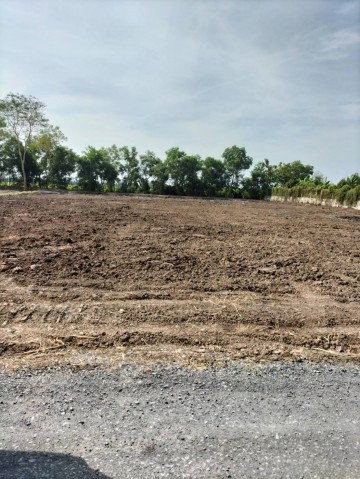picture 			Land for rent or sale in Lam Luk Ka Khlong 10. The plot is 2 rai 3200 sq.m. and has already been fil           - 3/8
