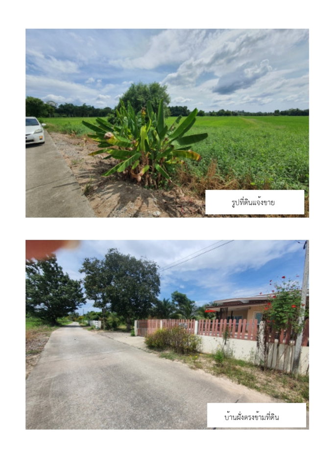 picture Land for sale at Chakbok Rayong - 2/7