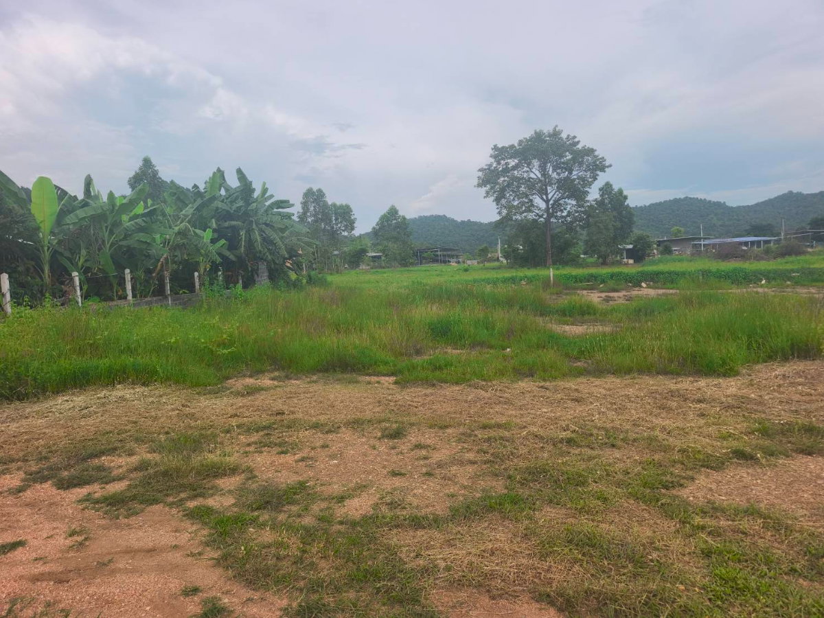 picture Land for sale in Klang Daet, Nakhon Sawan Province - 6/6
