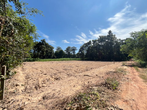 Prime Land for Sale Roadfront Location in Ban Kwang, Mueang Yasothon (Near Makro & Yasothon Hospital)