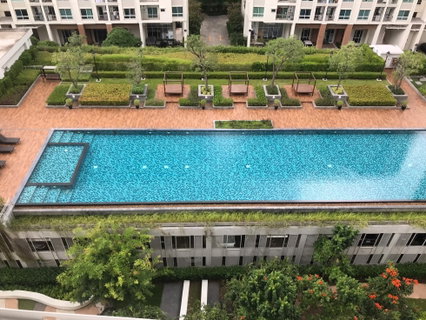 พร้อมเข้าอยู่! Supalai Wellington II คอนโดใจกลางรัชดา เพียง 3.19 ล้าน ใกล้ BTS/MRT ศูนย์วัฒนธรรม