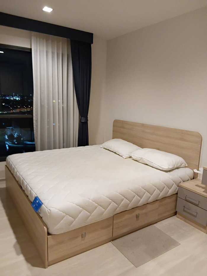 รูป ให้เช่า : คอนโด ไลฟ์ สุขุมวิท 48 (Life Sukhumvit 48) - รูปที่ 1/30