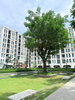 listing thumbnail image 10