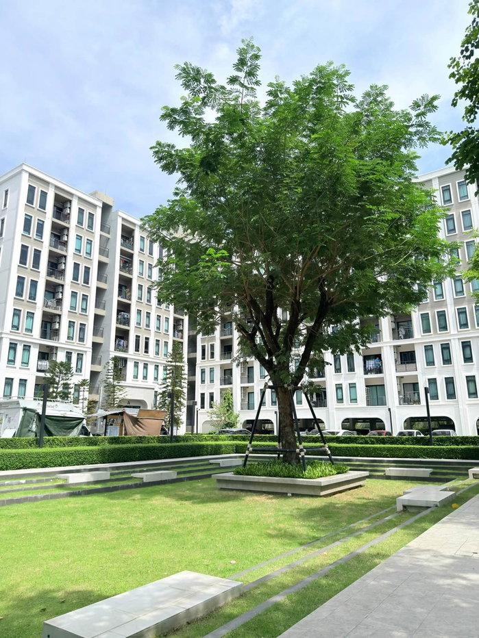 picture Aspire Asoke - Ratchada  🆔 𝐈𝐃 𝐋𝐢𝐧𝐞: @ gloorious1 or https://lin.ee/897DR 𝐂𝐚𝐥𝐥 : 𝟎𝟗𝟗 𝟒𝟗𝟖 𝟐𝟒𝟔𝟏 - 11/14