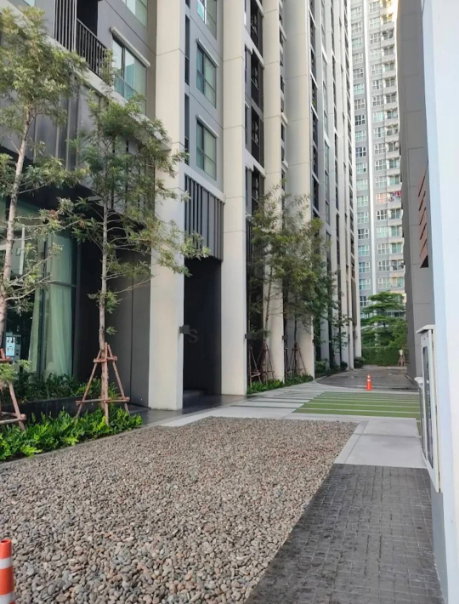 รูป ให้เช่า : คอนโด ไลฟ์ สุขุมวิท 48 (Life Sukhumvit 48) - รูปที่ 29/30