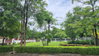 listing thumbnail image 21