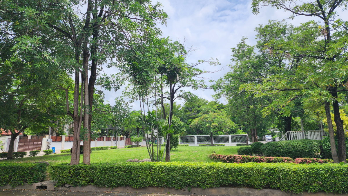 รูป ขายบ้านเดี่ยว Windmill บางนา | 6 ห้องนอน 480 ตร.ม. | ที่ดิน 156 ตร.ว. | จอด 8 คัน | 26 ล้านบาท - รูปที่ 22/22