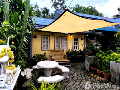 Houses for rent Surat Thani : 2 Bedroom House for rent in Lipa Noi, Surat Thani  6853906