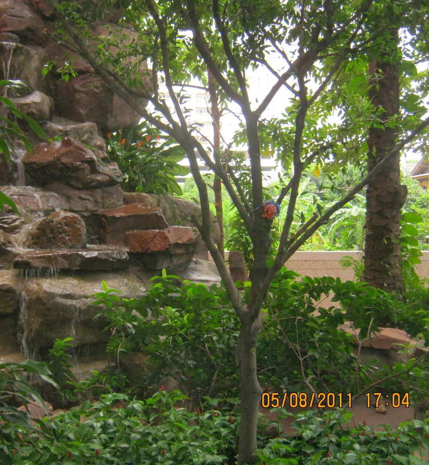 picture For Sale: Pathumwan Resort 2BR 49 sqm near BTS Phaya Thai 4,550,000 THB ðŋ - 4/6