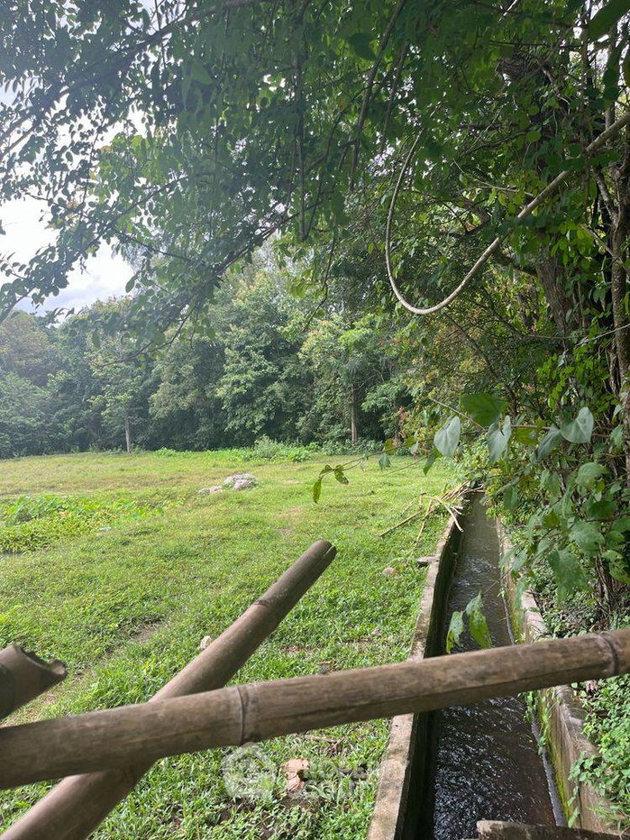 picture 19,080 m² Land for Sale in Tha Nuea (ID 3421901) - 8/11
