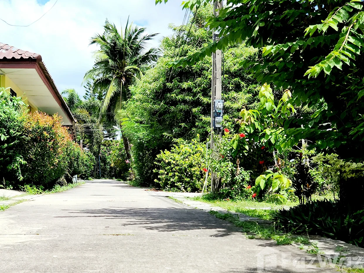 รูป บ้านเดี่ยวให้เช่า 2 ห้องนอน ใน ป่าตอง, ภูเก็ต 6796560 - รูปที่ 25/26