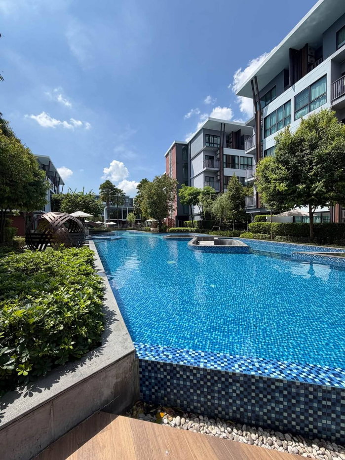 รูป ให้เช่าคอนโด Arise Mahidol Chiangmai พร้อมอยู่ ทำเลดี ใกล้เซ็นทรัลแอร์พอร์ตเชียงใหม่ (R1483) T.0946511456 - รูปที่ 5/5