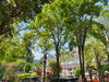 listing thumbnail image 13