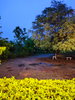 listing thumbnail image 34