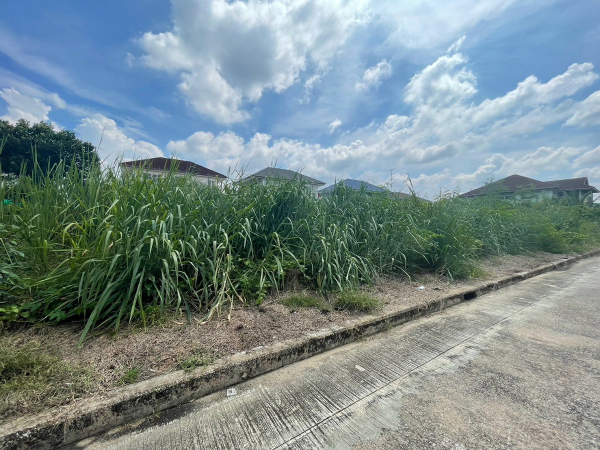 รูป ขายที่ดินเปล่าแปลงสวย 2 แปลงติดกัน หมู่บ้านวรารมย์ บางบอน 5 - เพชรเกษม 69 เนื้อที่ 140.1 ตร.ว  - รูปที่ 2/4
