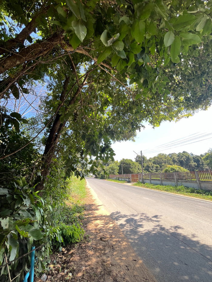 รูป ขายที่ดินสวย ติดถนน ทางเข้าวัดบ้านกว้าง อ.เมืองยโสธร ใกล้แม็คโคร และ รพ.ยโสธร (ราคาต่อรองได้!) - รูปที่ 3/7