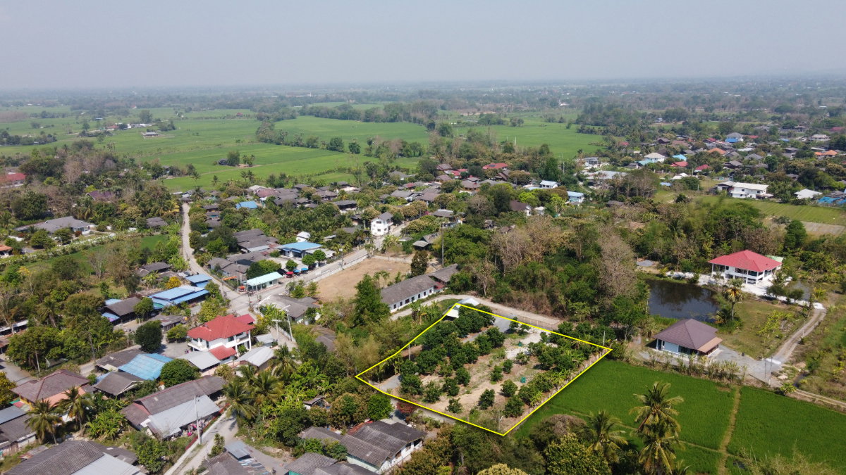 รูป ที่ดินสวนลำไย 1-1-25 ไร่ วิวภูเขา ติดถนนคอนกรีต 2 ด้าน อ.สันกำแพง - รูปที่ 6/13