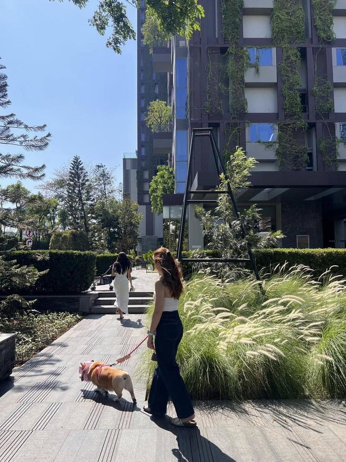 picture Ashton Morph 38 Luxury Condo for Rent/Sale! 🌟 - 7/7