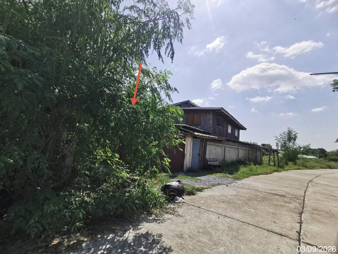 picture HOME 227 Sq.w. U Thong Suphanburi for 2.1M - 11/15