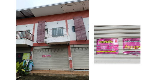LAND 16 Sq.w. Doi Saket Chiang Mai for 1.1M