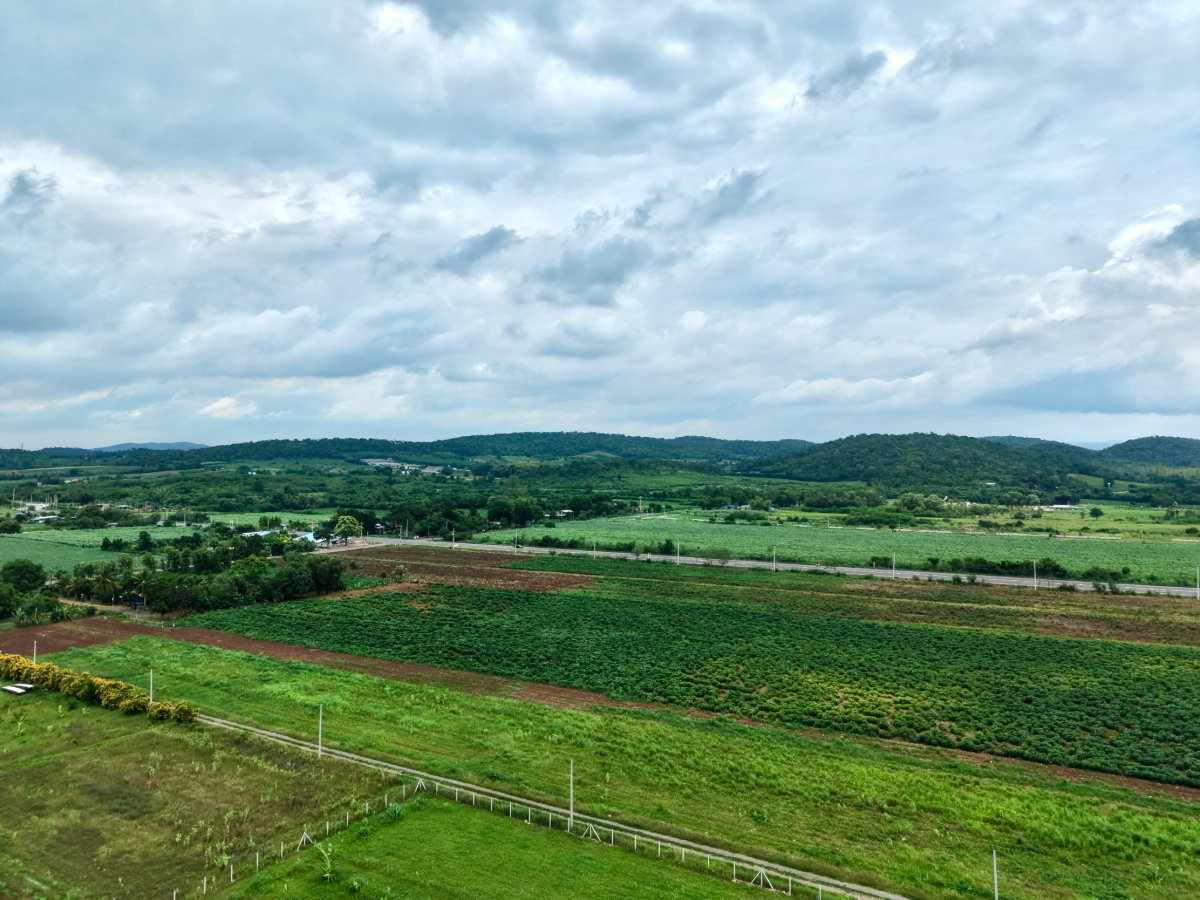 รูป ลดด่วน ต่อรองลดได้อีก ที่ดินบ้านสวนแก่งคอย ปลอดภัยมีเพื่อนบ้าน อากาศบริสุทธิ์ น้ำไม่ท่วม ใกล้เมือง - รูปที่ 19/22
