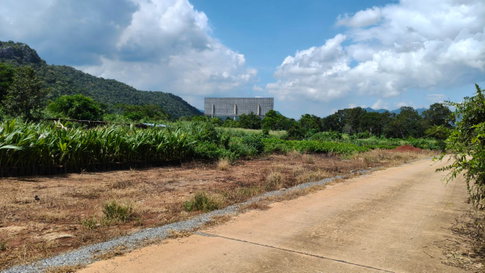 ขายที่กลางดง เขาใหญ่ 3 ไร่ ใกล้ถนนมิตรภาพ พญาเย็น มวกเหล็ก ปากช่อง วิวเขาสวยชัด ลักษณะเป็นเนินมองเห็นวิวเขาด้านล่าง เดินทางสะดวก ใกล้มอเตอร์เวย์