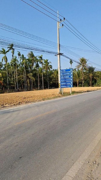 picture Land for rent on Phutthamonthon Sai 6 Road Sai 6 Market. Each plot measures 37.5 sq.wa. or 150 sq.m - 1/7