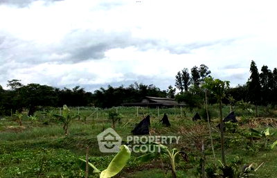 ขายที่ดิน : ที่ดินสำหรับขายในหมอนนาง พนัสนิคม ชลบุรี (ID 1946455)