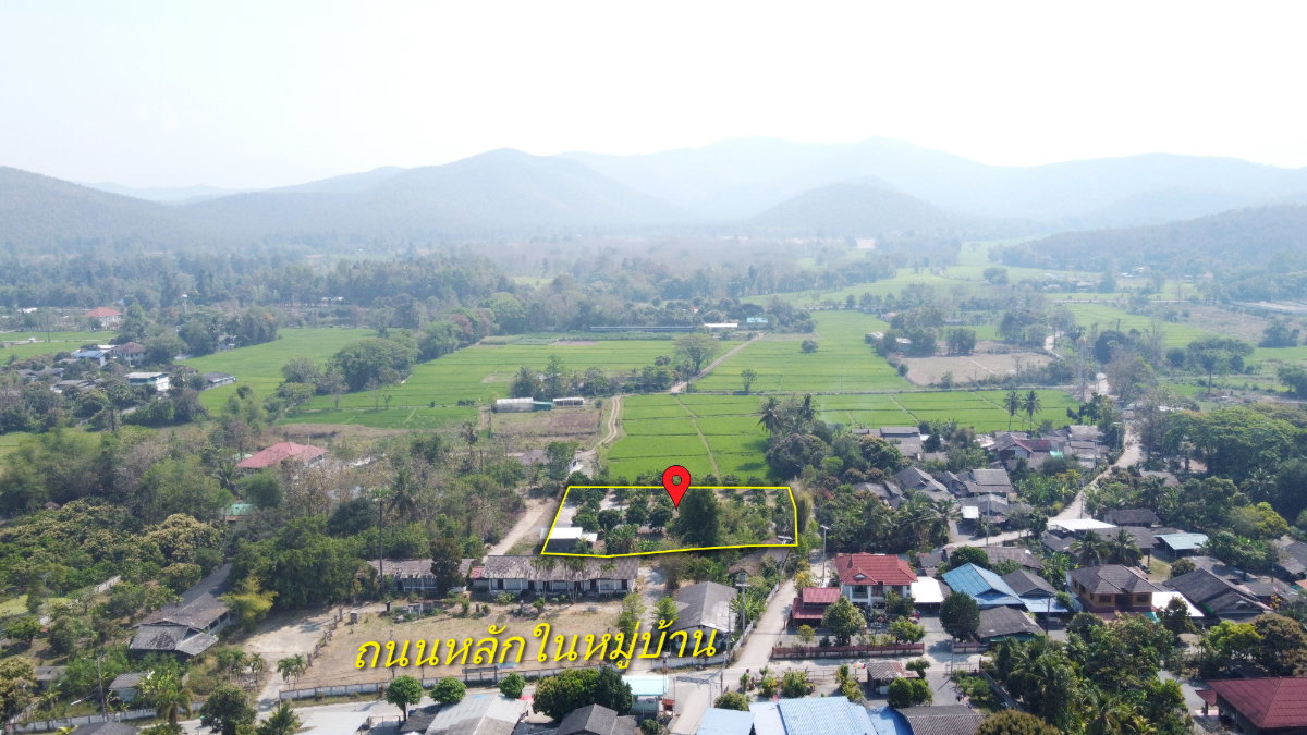 รูป ที่ดินสวนลำไย 1-1-25 ไร่ วิวภูเขา ติดถนนคอนกรีต 2 ด้าน อ.สันกำแพง - รูปที่ 4/13