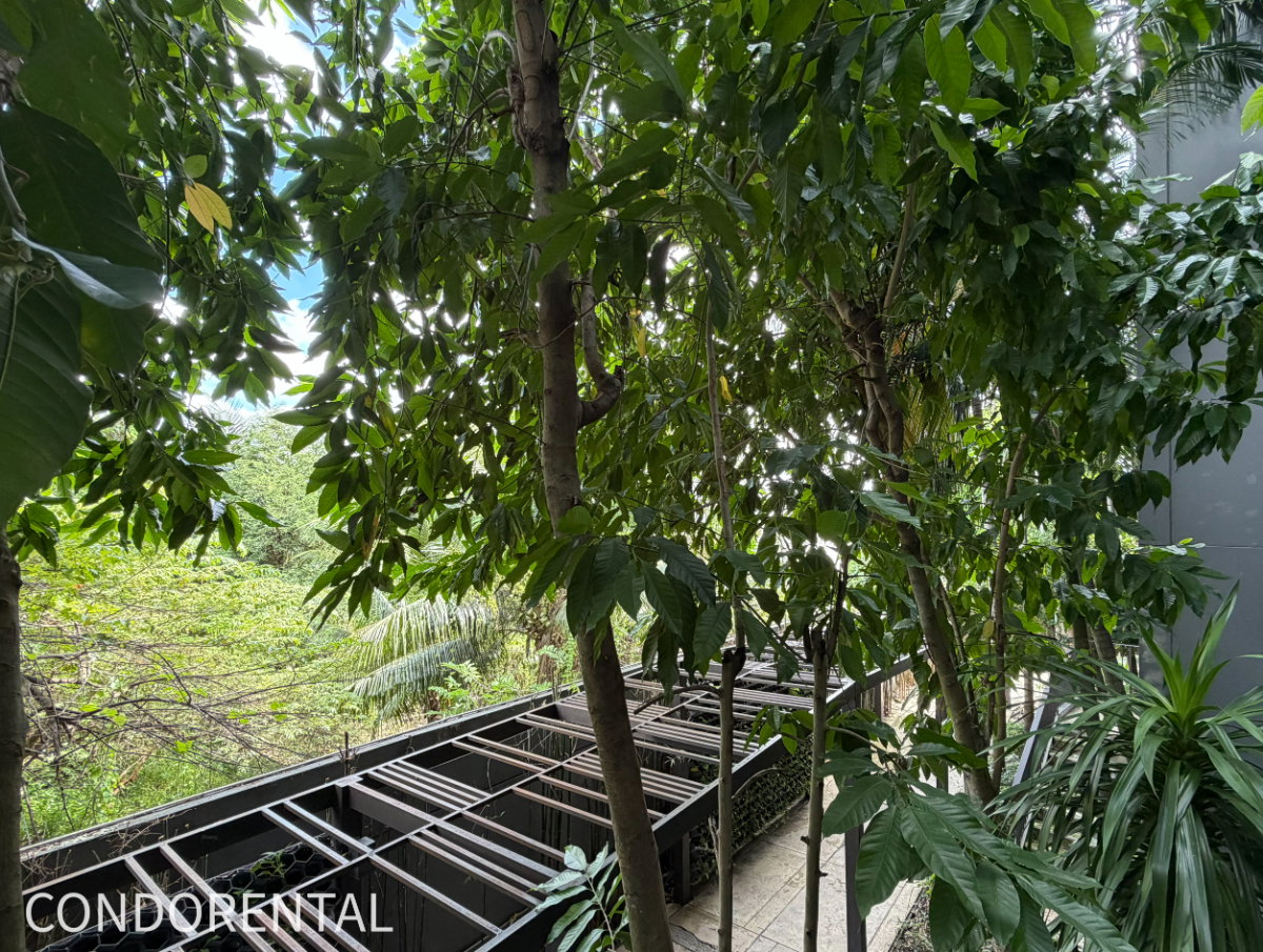 picture @Condorental condo for rent Metro Luxe Riverfront Rattanathibet - 12/15