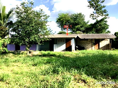 Houses for sale Phran Kratai Kamphaeng Phet : HOME 155 Sq.w. Phran Kratai Kamphaeng Phet for 1.1M