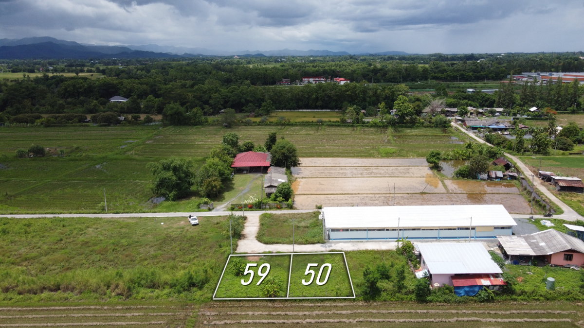 รูป ที่ดินแบ่งขาย 50 และ 59 ตร.ว. เริ่มต้น 320,000 บาท น้ำไฟถนนคอนกรีตพร้อม! - รูปที่ 5/8