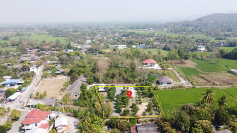 ที่ดินสวนลำไย 1-1-25 ไร่ วิวภูเขา ติดถนนคอนกรีต 2 ด้าน อ.สันกำแพง