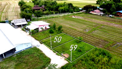 ที่ดิน เชียงใหม่ : ที่ดินแบ่งขาย 50 และ 59 ตร.ว. เริ่มต้น 320,000 บาท น้ำไฟถนนคอนกรีตพร้อม!
