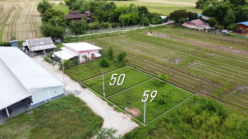 ที่ดินแบ่งขาย 50 และ 59 ตร.ว. เริ่มต้น 320,000 บาท น้ำไฟถนนคอนกรีตพร้อม!