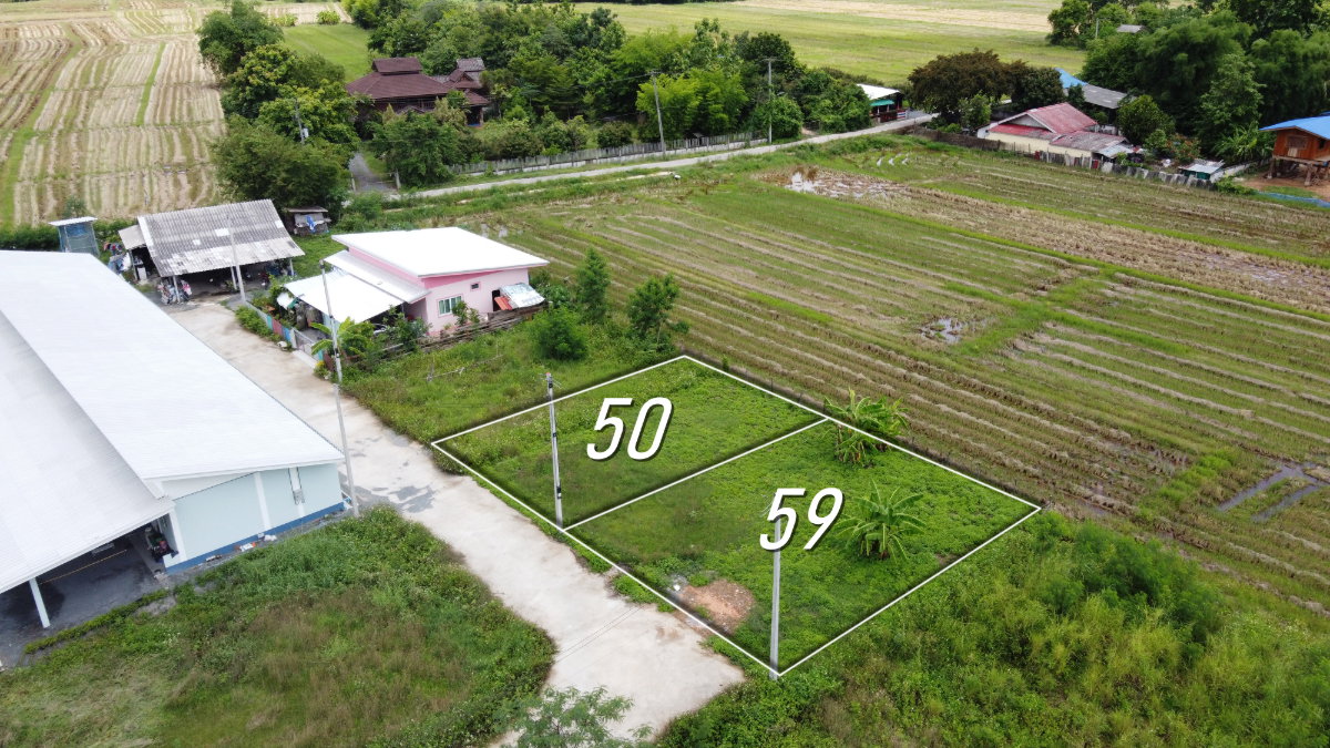 รูป ที่ดินแบ่งขาย 50 และ 59 ตร.ว. เริ่มต้น 320,000 บาท น้ำไฟถนนคอนกรีตพร้อม! - รูปที่ 1/8