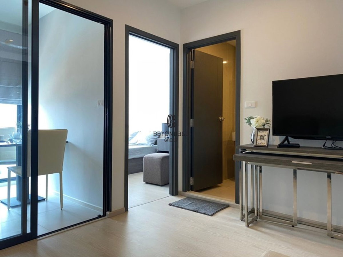 picture Elio Del Nest  🌟PN-00003701🌟 - 1/6