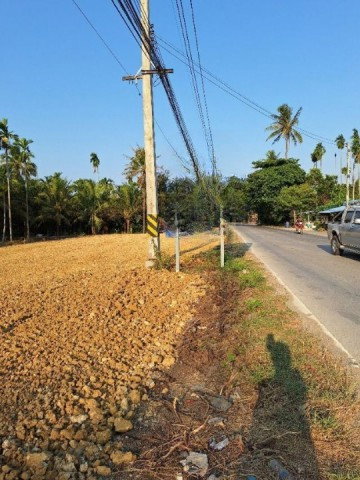 picture Land for rent on Phutthamonthon Sai 6 Road Sai 6 Market. Each plot measures 37.5 sq.wa. or 150 sq.m - 3/7