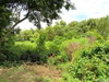 listing thumbnail image 21