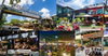 listing thumbnail image 12