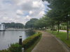 listing thumbnail image 10