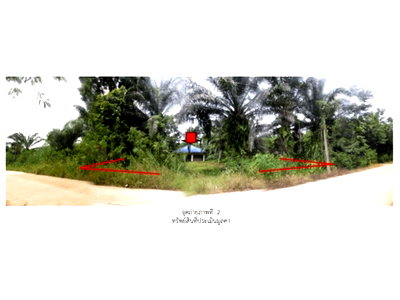 LAND 624.9 Sq.w. Chaiburi Surat Thani for 717,000