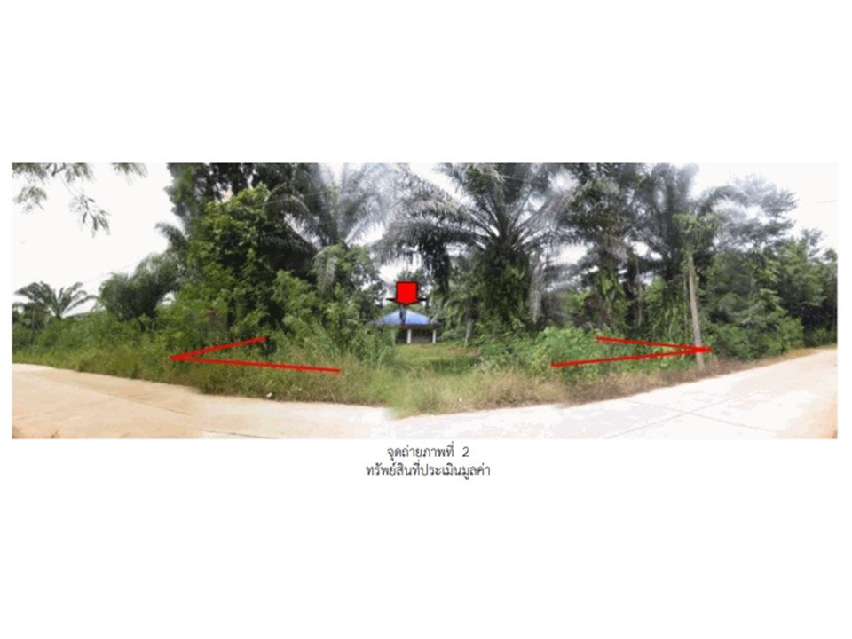 picture LAND 624.9 Sq.w. Chaiburi Surat Thani for 717,000 - 1/5