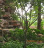 listing thumbnail image 5