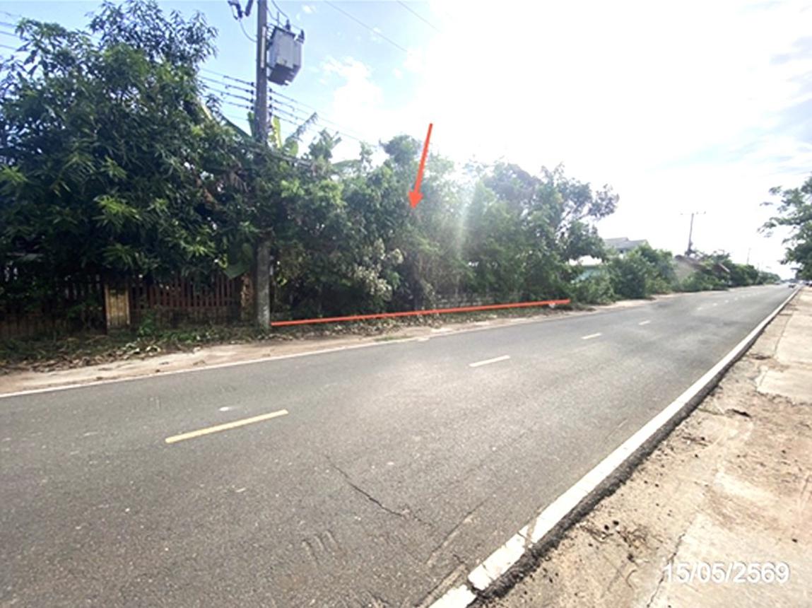 picture LAND 205.9 Sq.w. Pho Chai Roi Et for 1M - 13/19