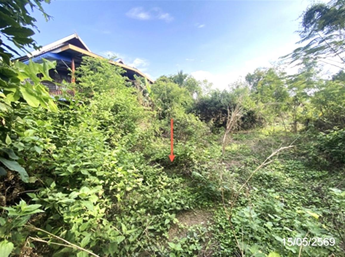 picture LAND 205.9 Sq.w. Pho Chai Roi Et for 1M - 10/19